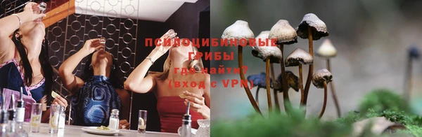 тгк Майский