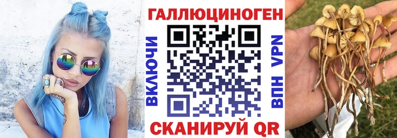 Галлюциногенные грибы ЛСД Горячеводский